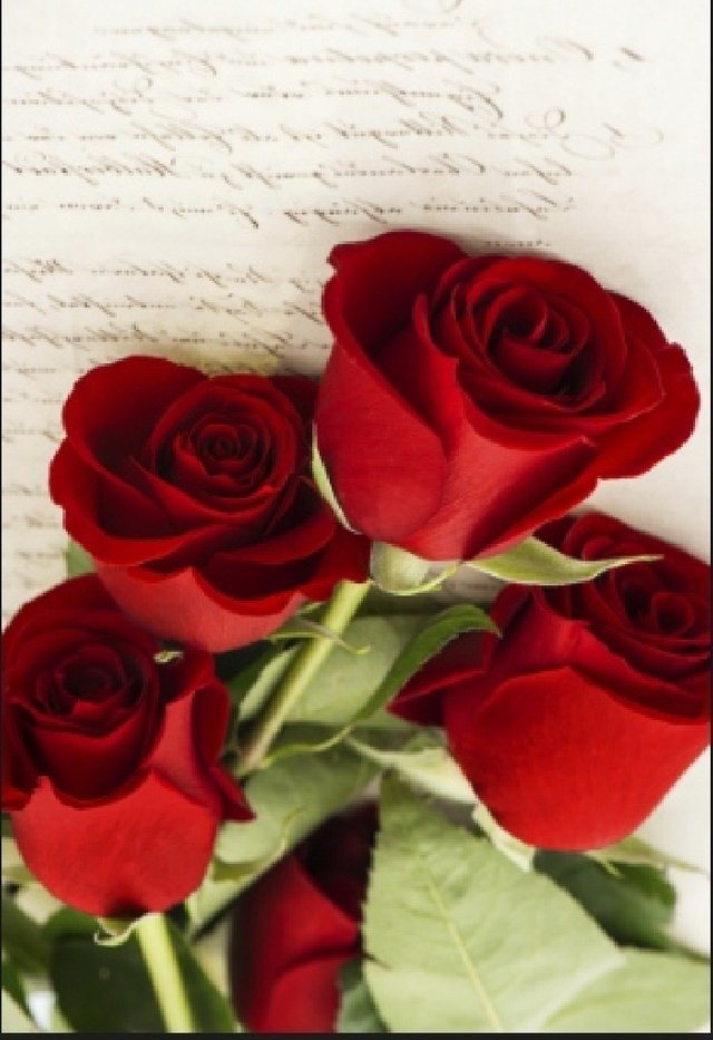 12 Red Roses on old love letter.jpg