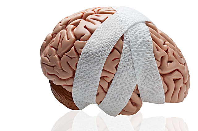 brainwrap.png
