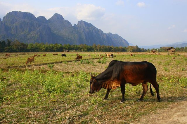 1 vang vieng laos.jpg