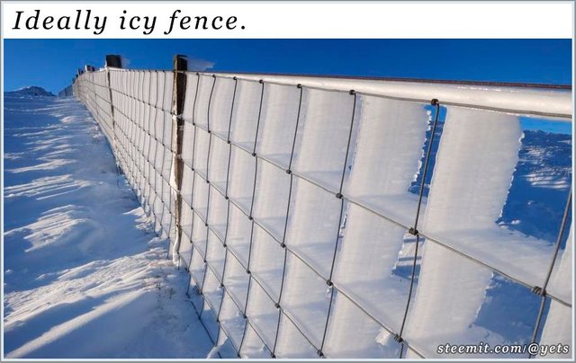 03_Ideally icy fence..jpg