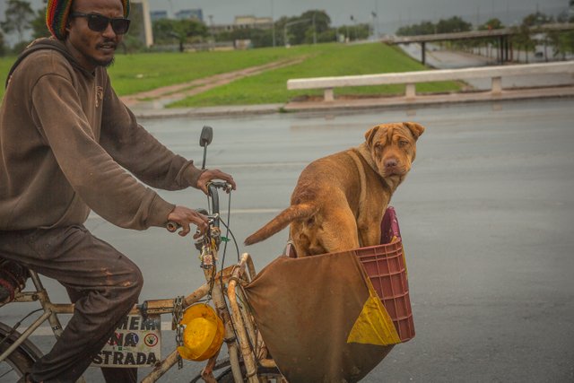 bicicleta.jpg