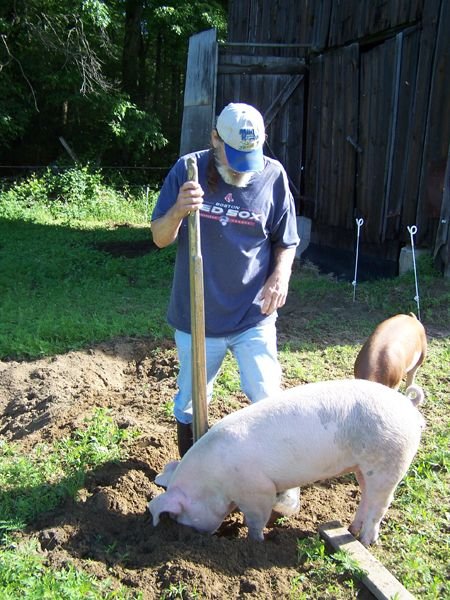 2.Piggy Dripper help1 crop June 2014 .jpg
