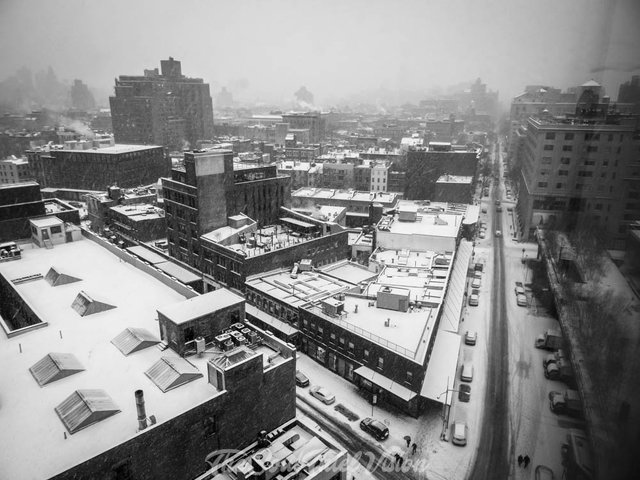 New York Snow wm (2 of 18).jpg