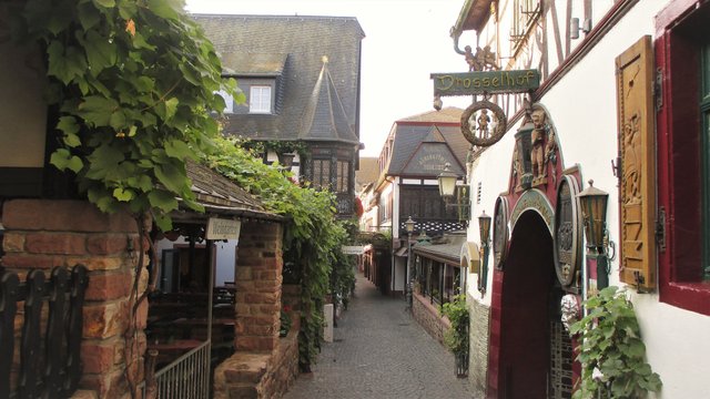 rudesheim t.jpg