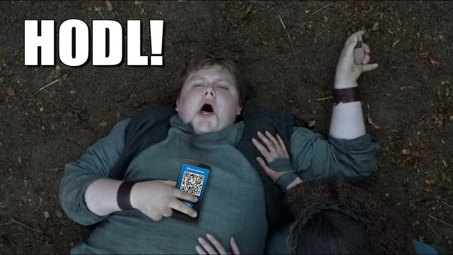 Hodl-Hodor.jpg