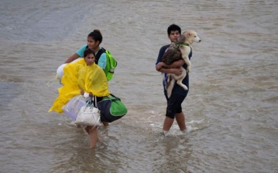 harvey pic - family carries dog.JPG