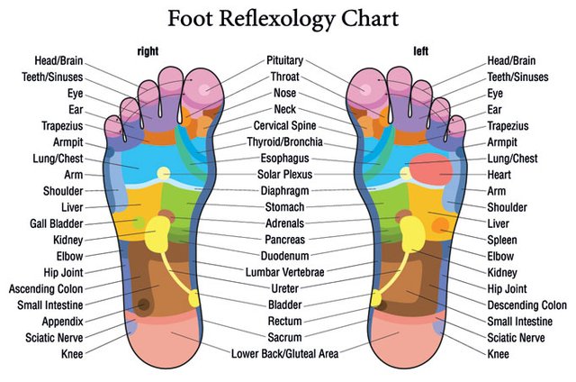 Foot-Reflexology-Chart.jpg