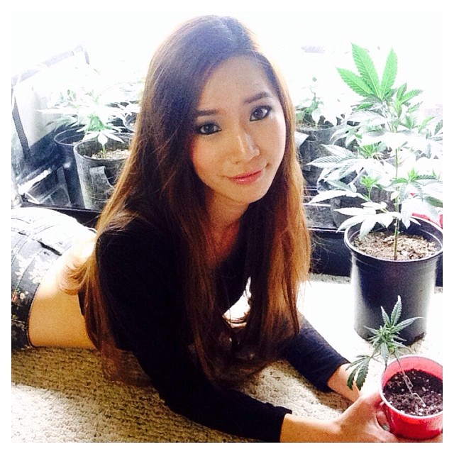 Stoner Babes