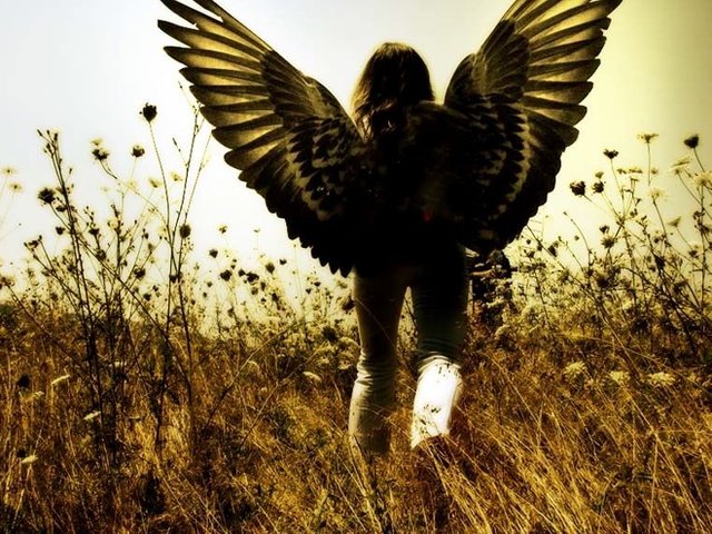 ____angels_wings_____by_memphis86.jpg