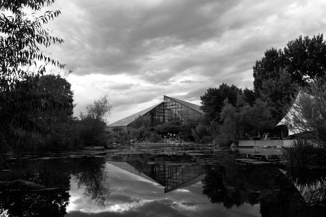 Storm over the Botanical Garden.jpg