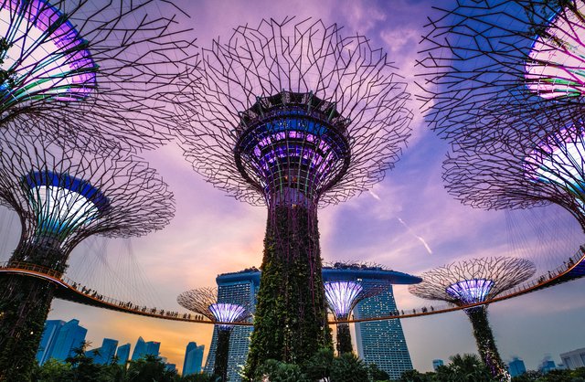 SIngapur_gardens_small.jpg