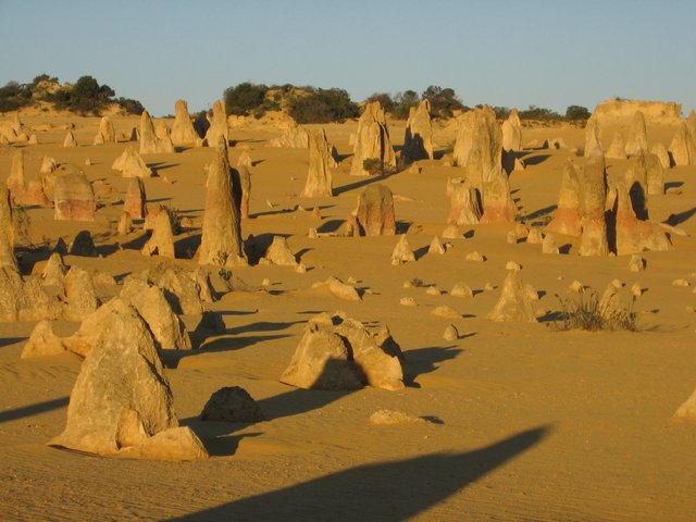 096 at the pinnacles (8).JPG