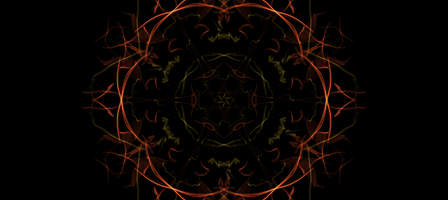 daily fractal6.png