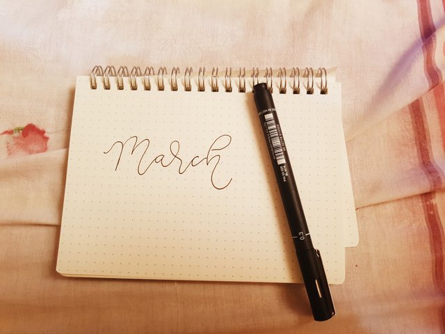 2018-03-23 10.16.20 1.jpg