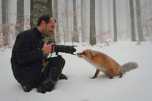 animals-with-camera-helping-photographers-21-1__880.jpg