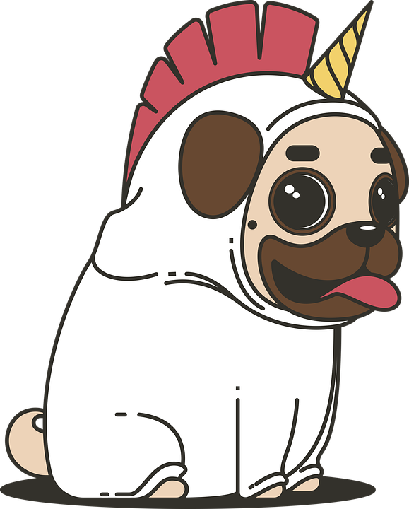 pug-2970825_960_720.png