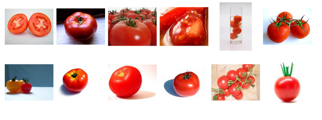 tomatoes.png