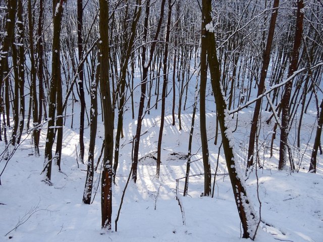 P1030040.JPG