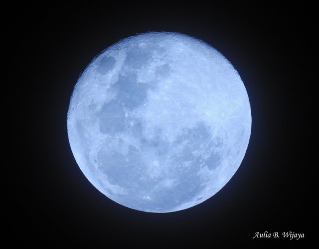 blue moon11.jpg