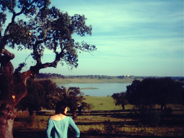 alentejo como pano de fundo (21).jpg