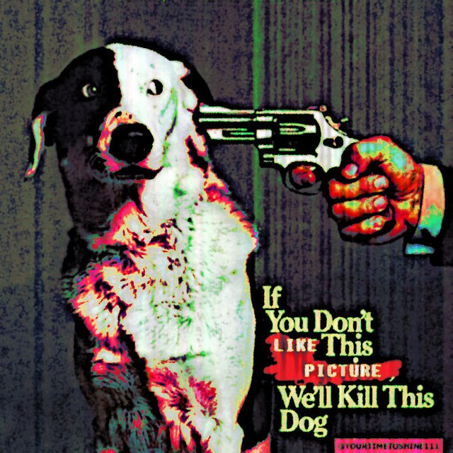 deepfrieddoggy.jpg