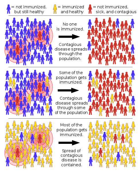 488px-Herd_immunity.svg.png