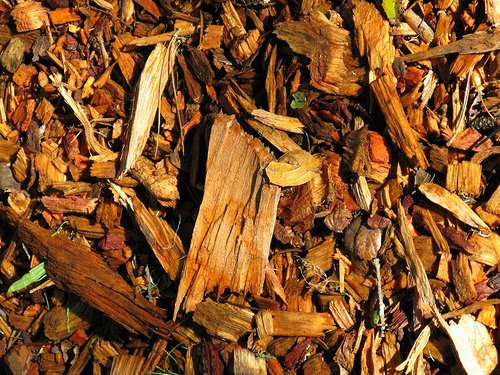 wood-chip.jpg