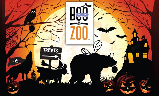 Boo-2015-web.jpg