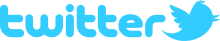 Twitter_2010_logo_-_from_Commons.svg.png