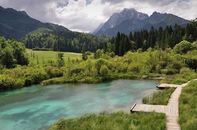 Zelenci, Slovenia-1.jpg