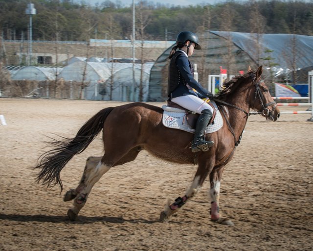 뒷면20170407승마108.jpg