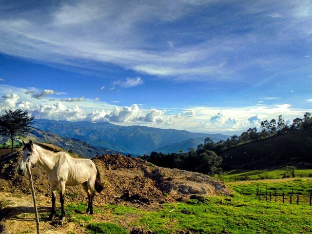 Paisaje_desde_Sonsón,_Colombia.jpg