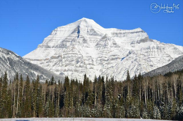 mount robson4.jpg