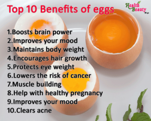 Importance of eating egg — Steemit
