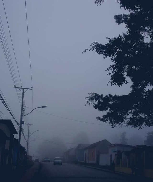 neblina.jpg