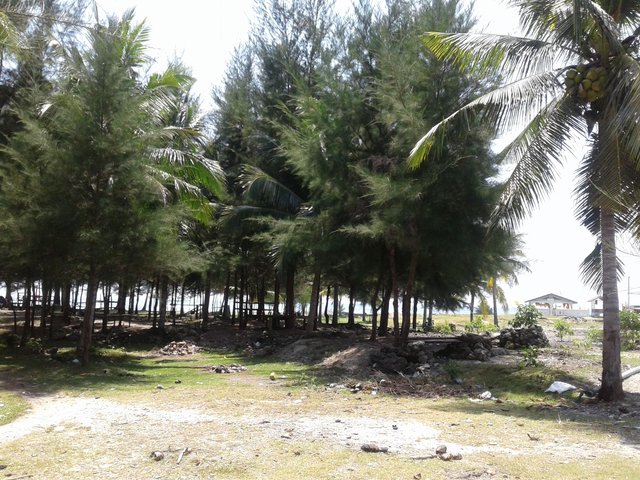 20180214_130957.jpg