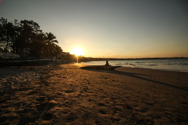 cabarete-sonnenuntergang-baumstamm.jpg