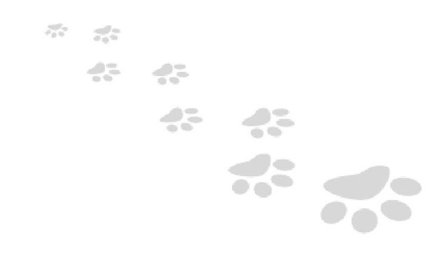 footprints.jpg