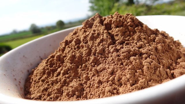 CAROB POWDER.JPG