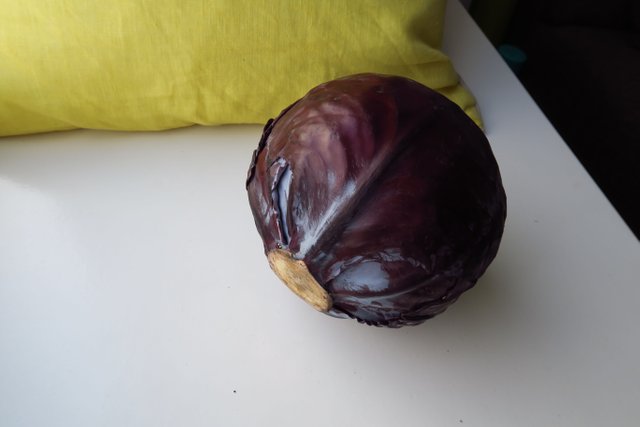 red cabbage from organic farm.JPG