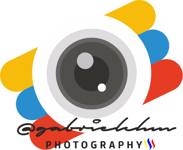 logo photography gabrielchm.png