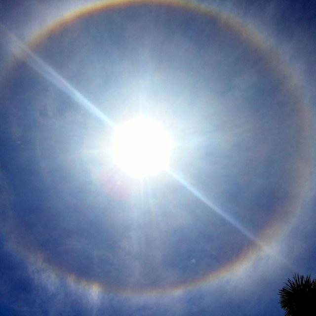 Sunbow.jpg