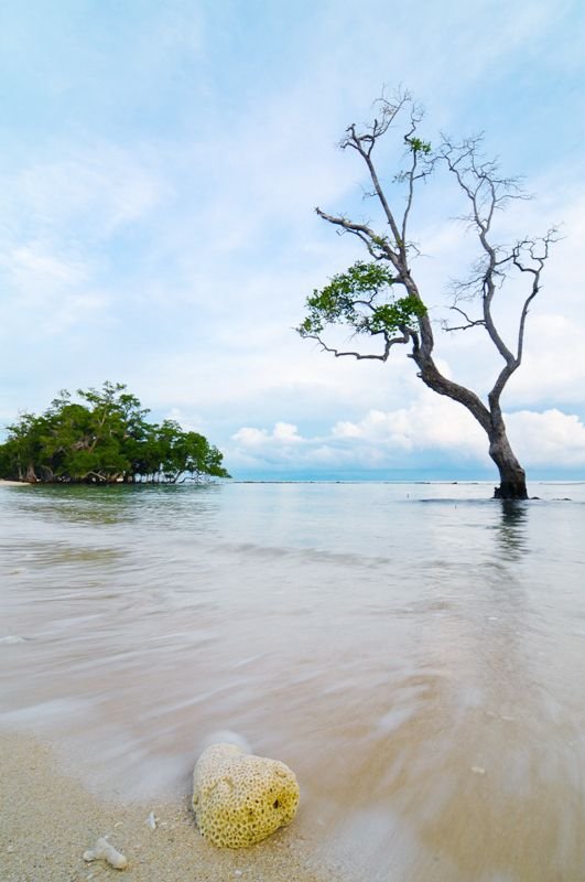 Pantai Pasir Putih (4).jpg