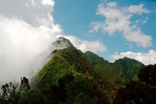 DR-Congo-UNESCO-park.jpg