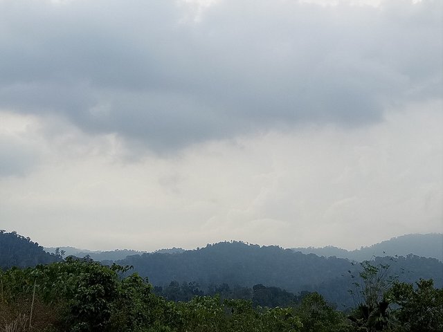 IMG20180407180159.jpg