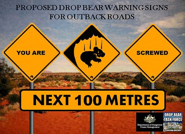 drop bears.jpg