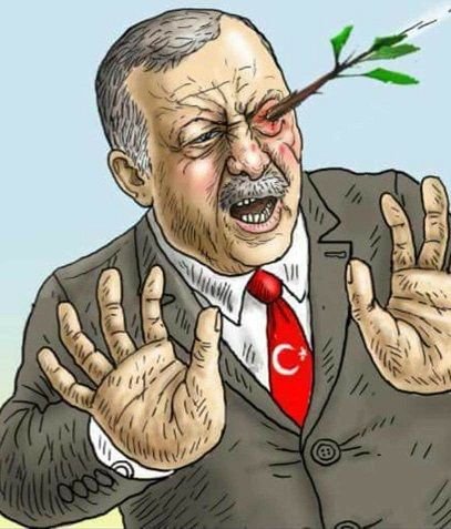 Kerdogan olive branch.jpg