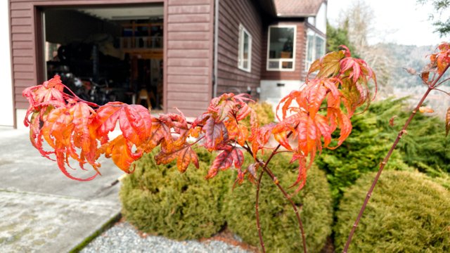 20180102_123032-01.jpeg
