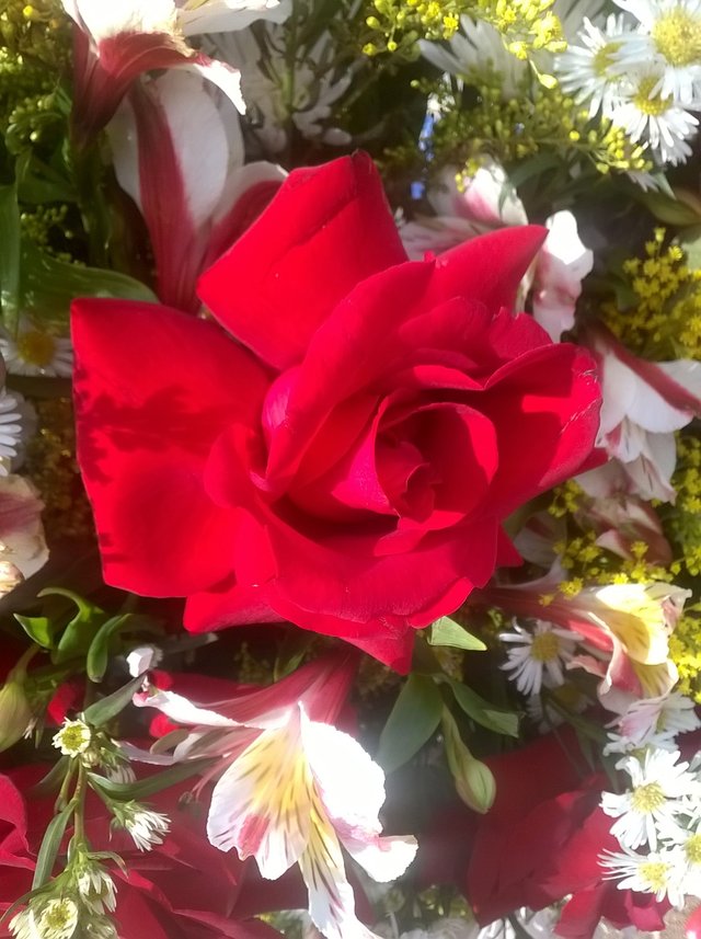 WP_20180305_007.jpg