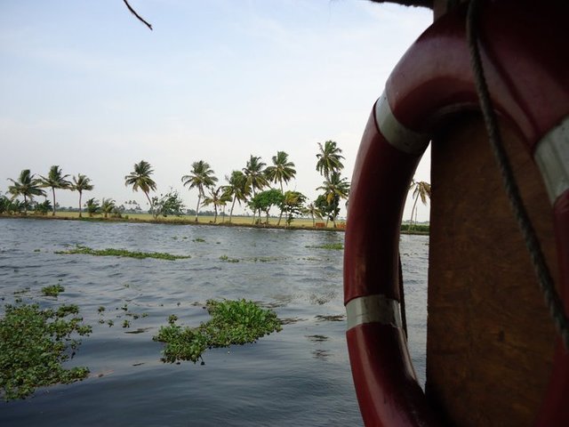 backwaters_of_kerala2.jpg